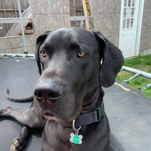 Meet your Posher, Taylor